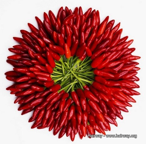 �u�@压�O�j �i�H�Y���Ը�压