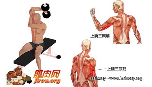 肱三头肌锻炼
