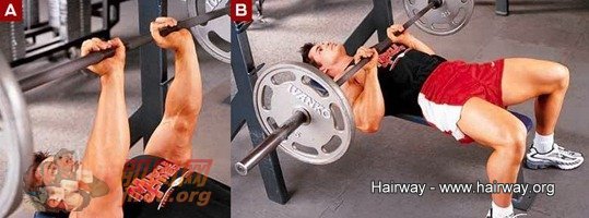 �W�ٯ���个�P�l�n,�Y���\�i�H�W��