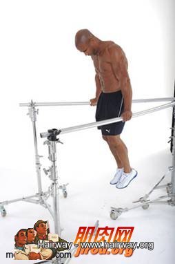 V型双杠臂屈伸1