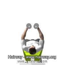 下斜哑铃飞鸟动作图示